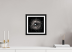 10 x 10″, Black Oak Frame Robin's Egg