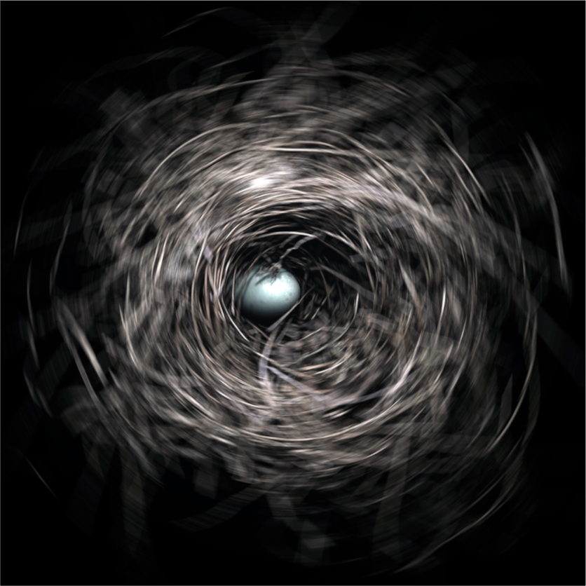 Main image Robin's Egg (Spin)