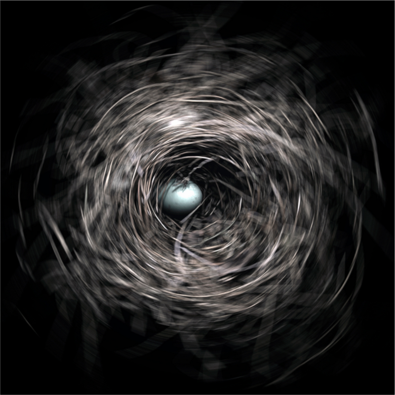 Main image Robin's Egg (Spin)