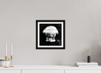10 x 10″, Black Oak Frame Atomic Jellyfish