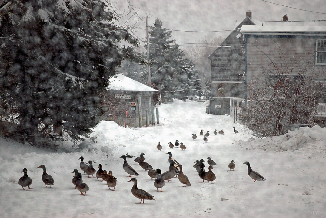Main image Wharf Lane