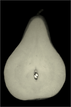 Main image Pear