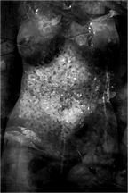 Main image Vernal Pool