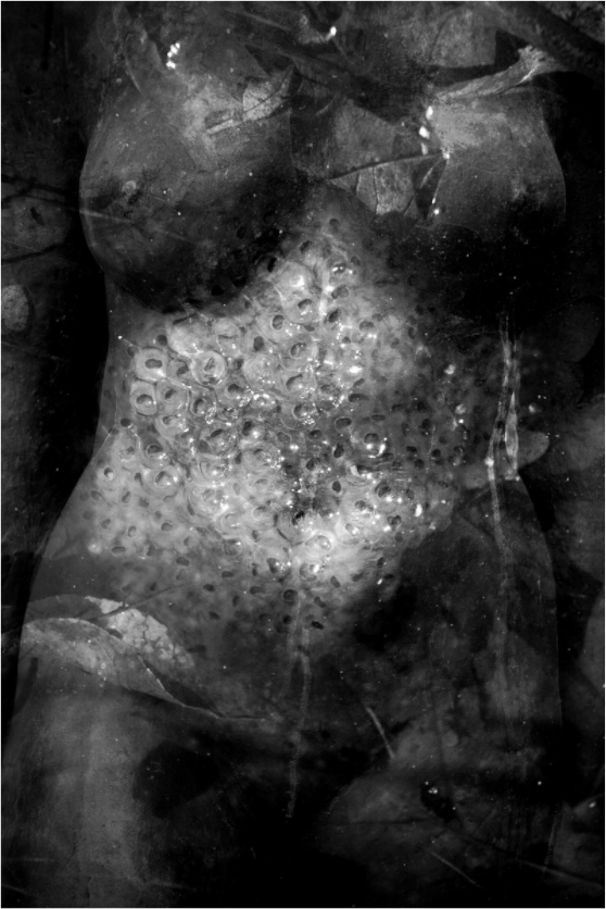 Main image Vernal Pool