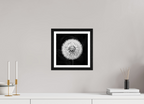 10 x 10″, Black Oak Frame Dandelion