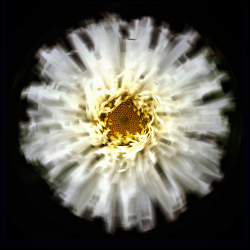Main image Flower Sphere #2