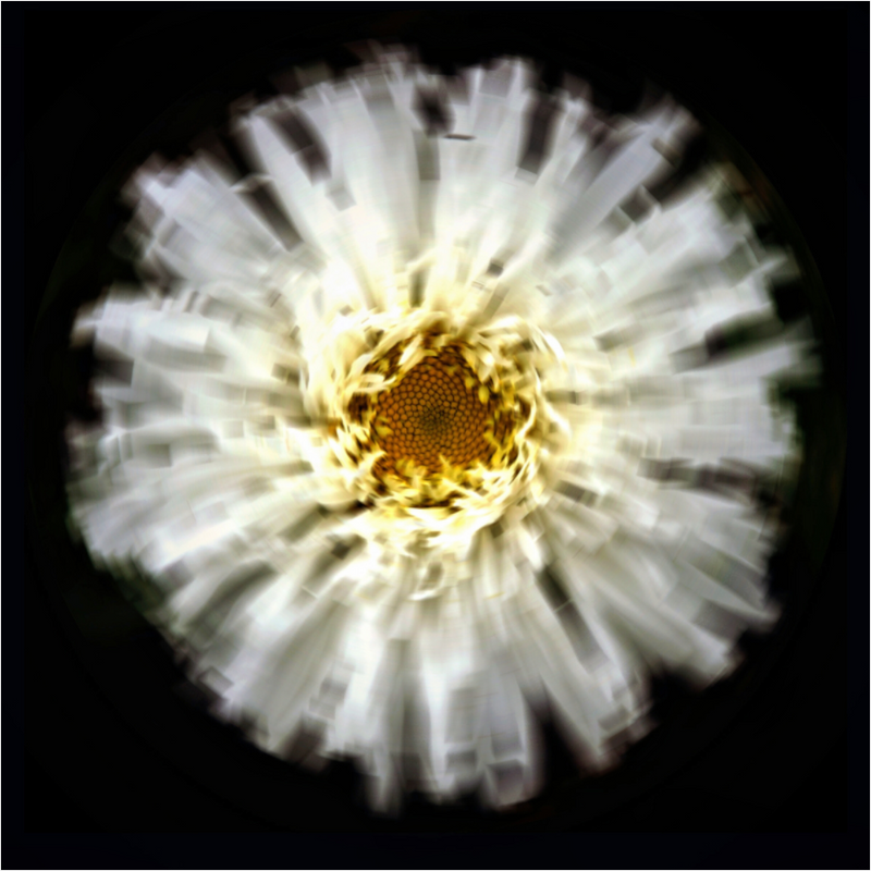 Main image Flower Sphere #2