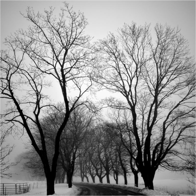 Main image Parsons Road