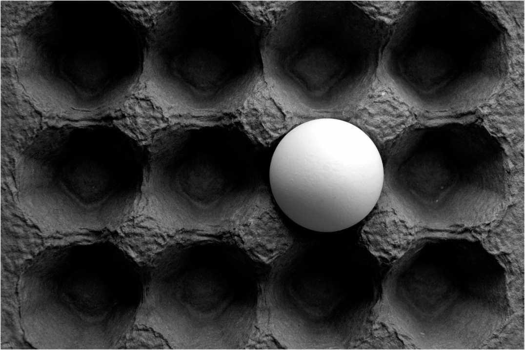 Main image Organic Egg