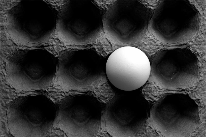 Main image Organic Egg