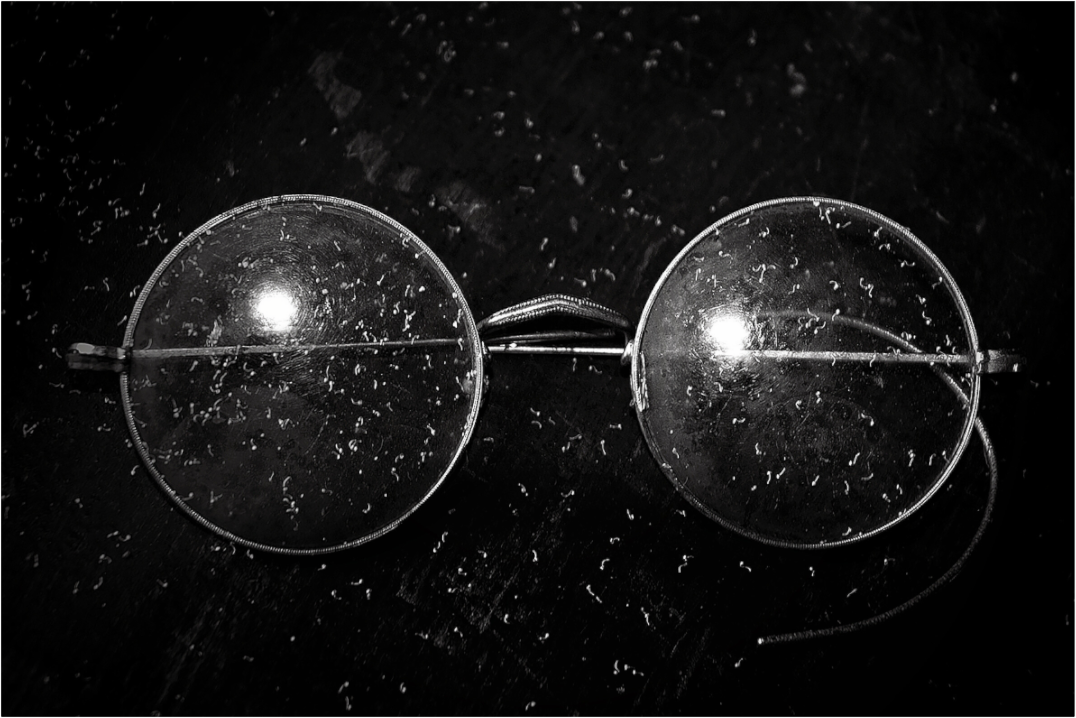 Main image Alvaro’s Glasses