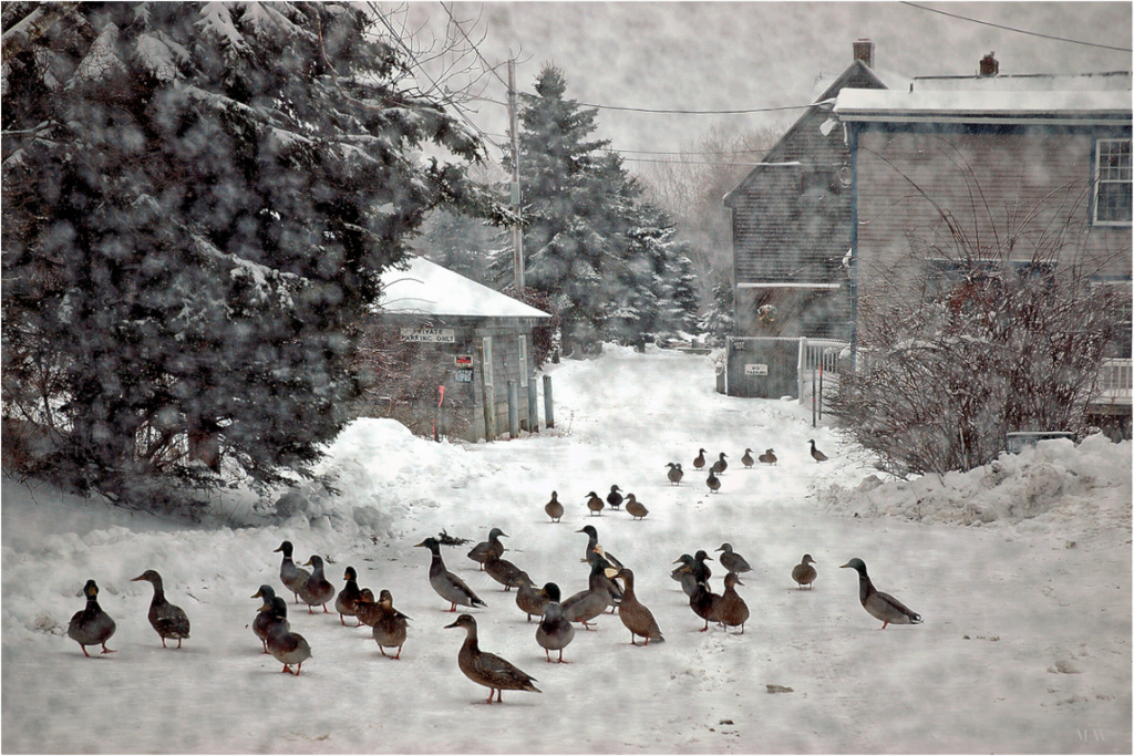 Main image Wharf Lane