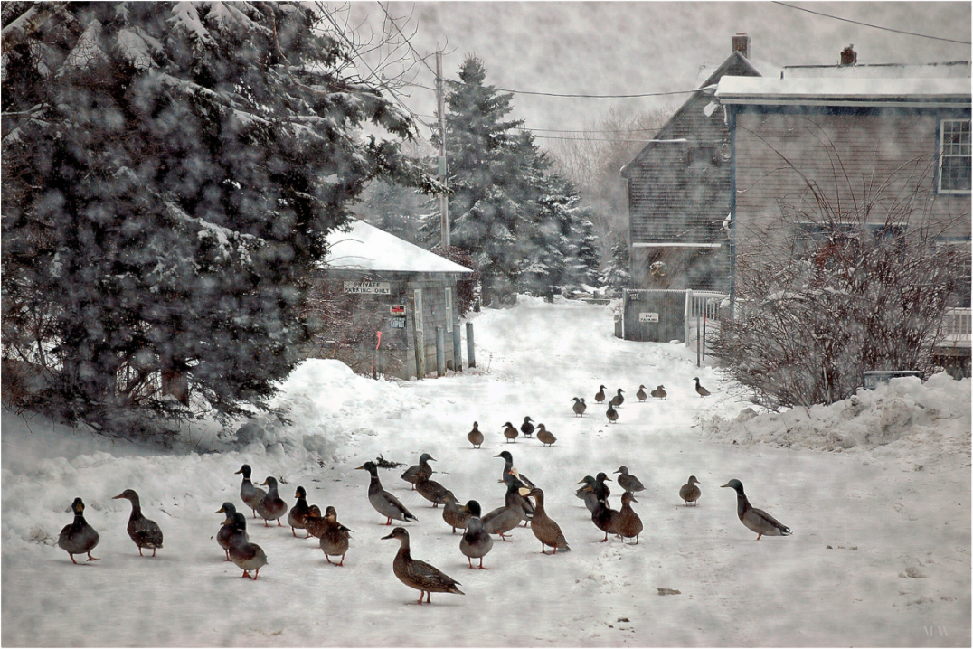 Main image Wharf Lane