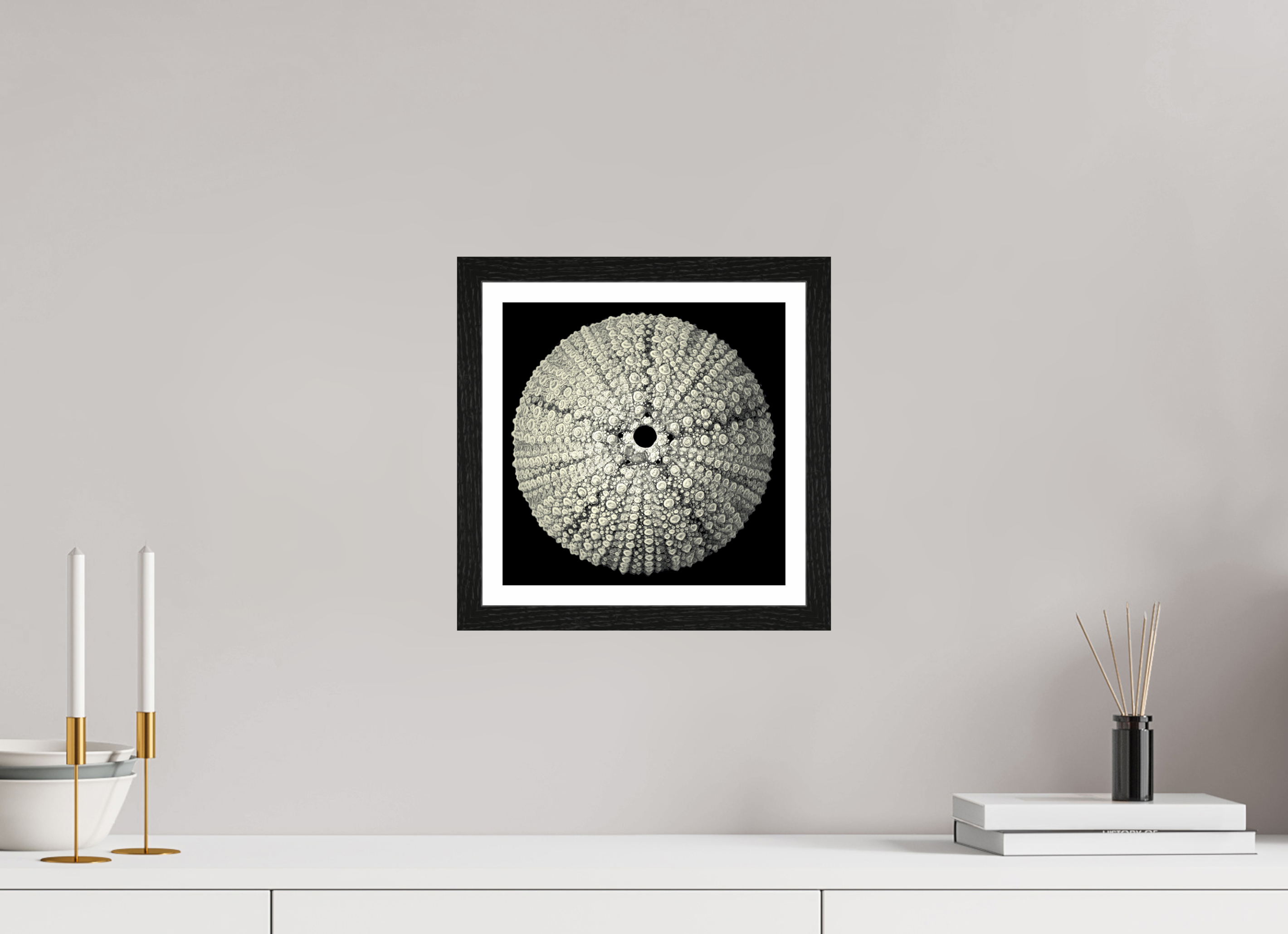 10 x 10″, Black Oak Frame Lace Urchin