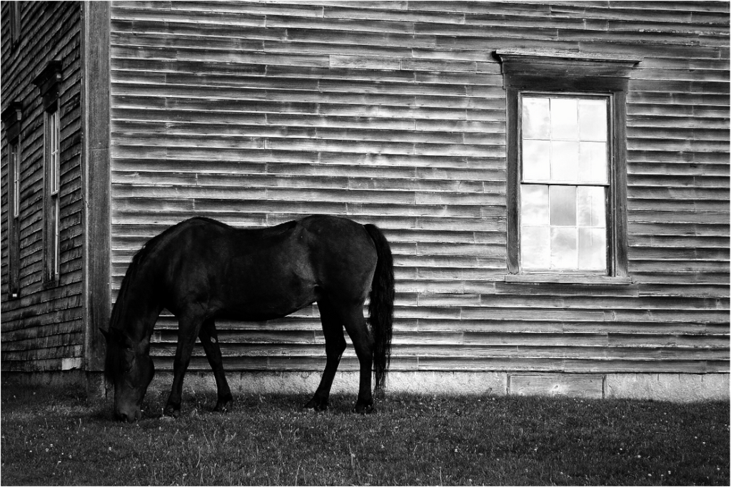 Main image Sassy by the Window