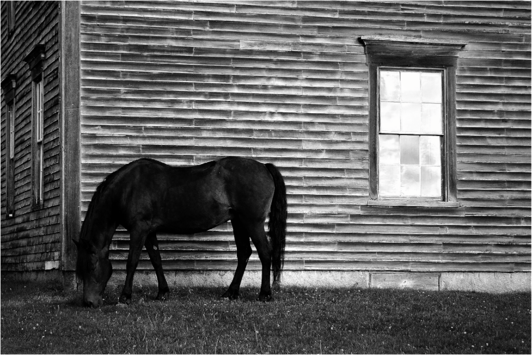 Main image Sassy by the Window